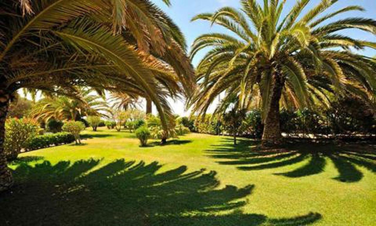 Torralta Alvor Beach 601 Ngoại thất bức ảnh